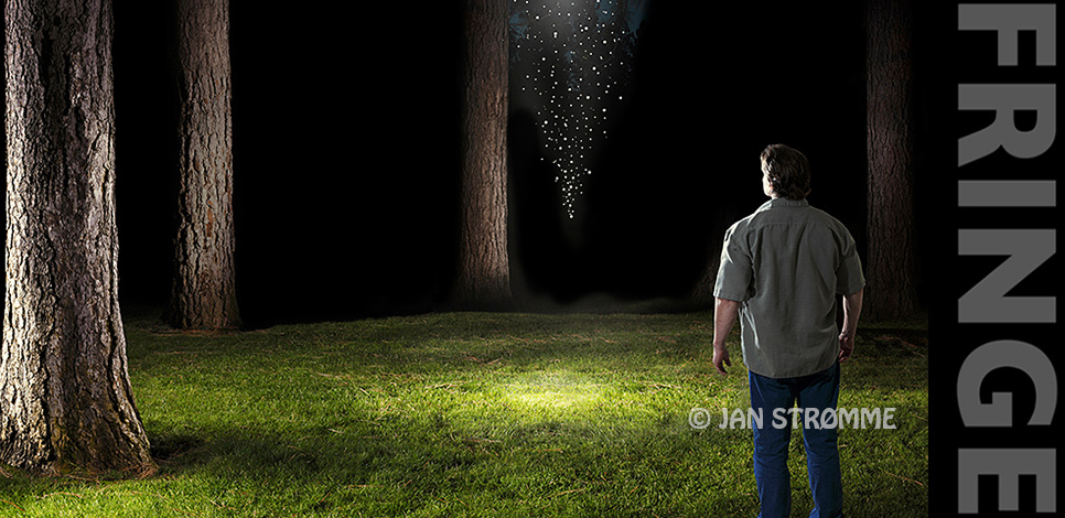 Man Standing in a forest at night looking at mystical lights