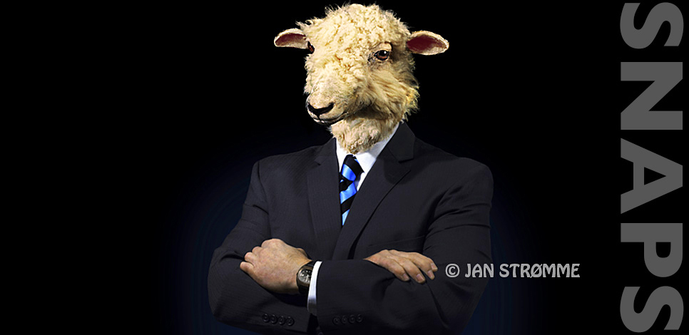 Portrait of a businessman with a sheep's head