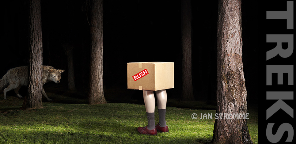 Surreal photograph of a pair of manikin legs and delivery box in forest